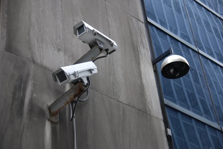 The Global Marketplace of Advanced Surveillance Costs Pakistanis Their Freedoms