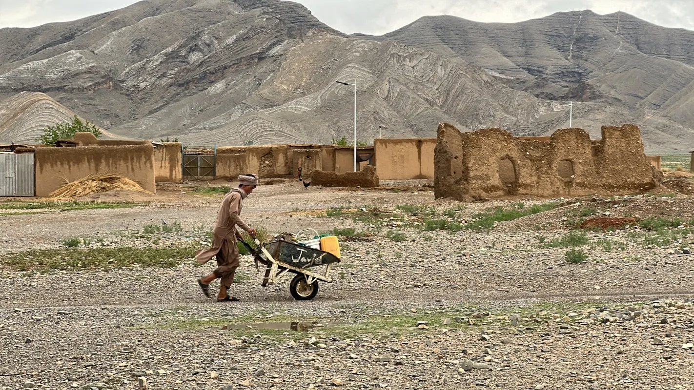 Pakistan’s Forced Repatriation Pushes Afghan Refugees Back into Danger