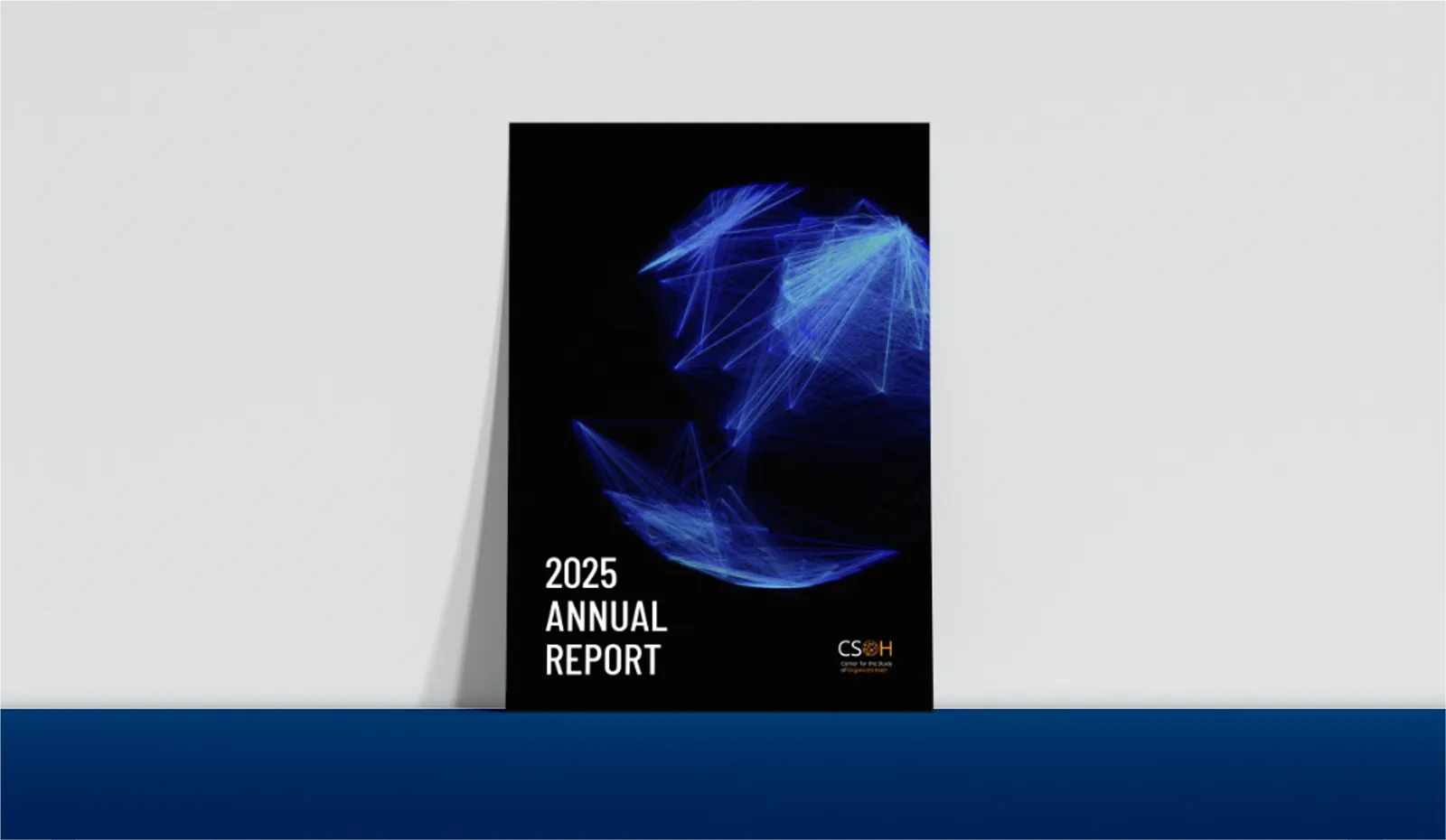 2025 Annual Report